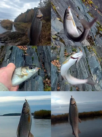 Мушки для рыбалки на хариуса и ленка - Хобби и отдых в Сургут