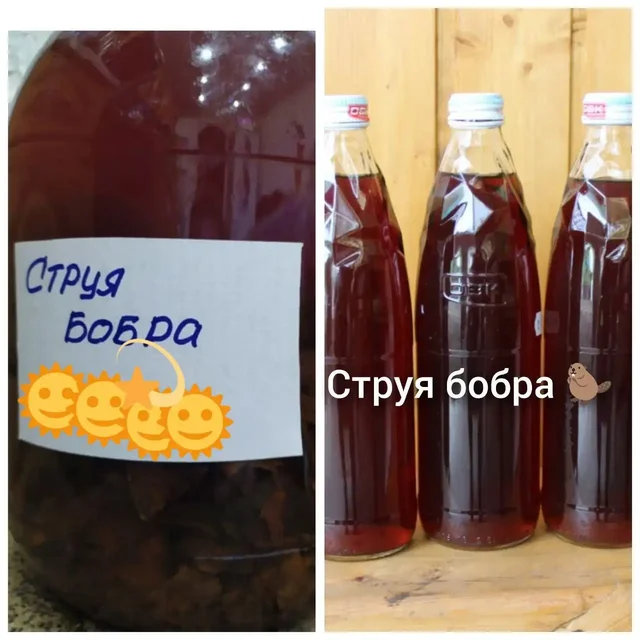 Продам барсучий жир и струю бобра - Красота и здоровье в Сургут