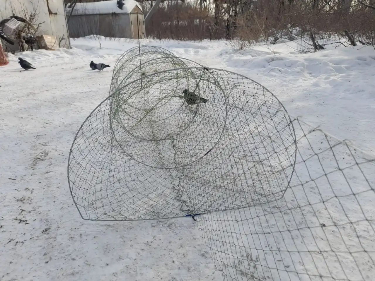 Рыболовные ловушки разные - Рыбалка (Хобби и отдых) в Сургут