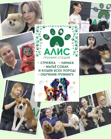 Профессиональный уход за животными - Маркетинг и реклама в Сургут