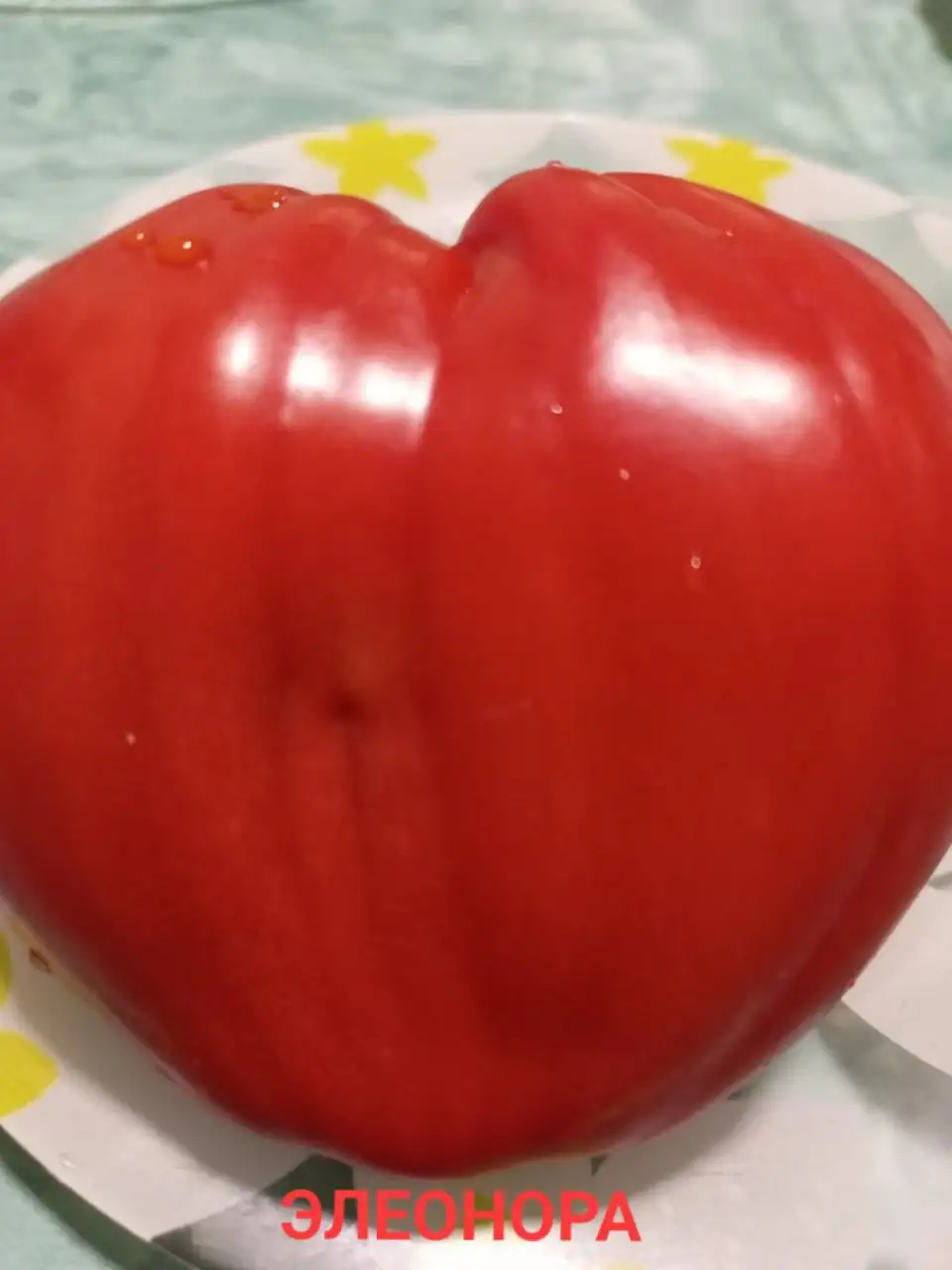 Семена коллекционных сортов томатов - Садоводство (Хобби и отдых) в Сургут