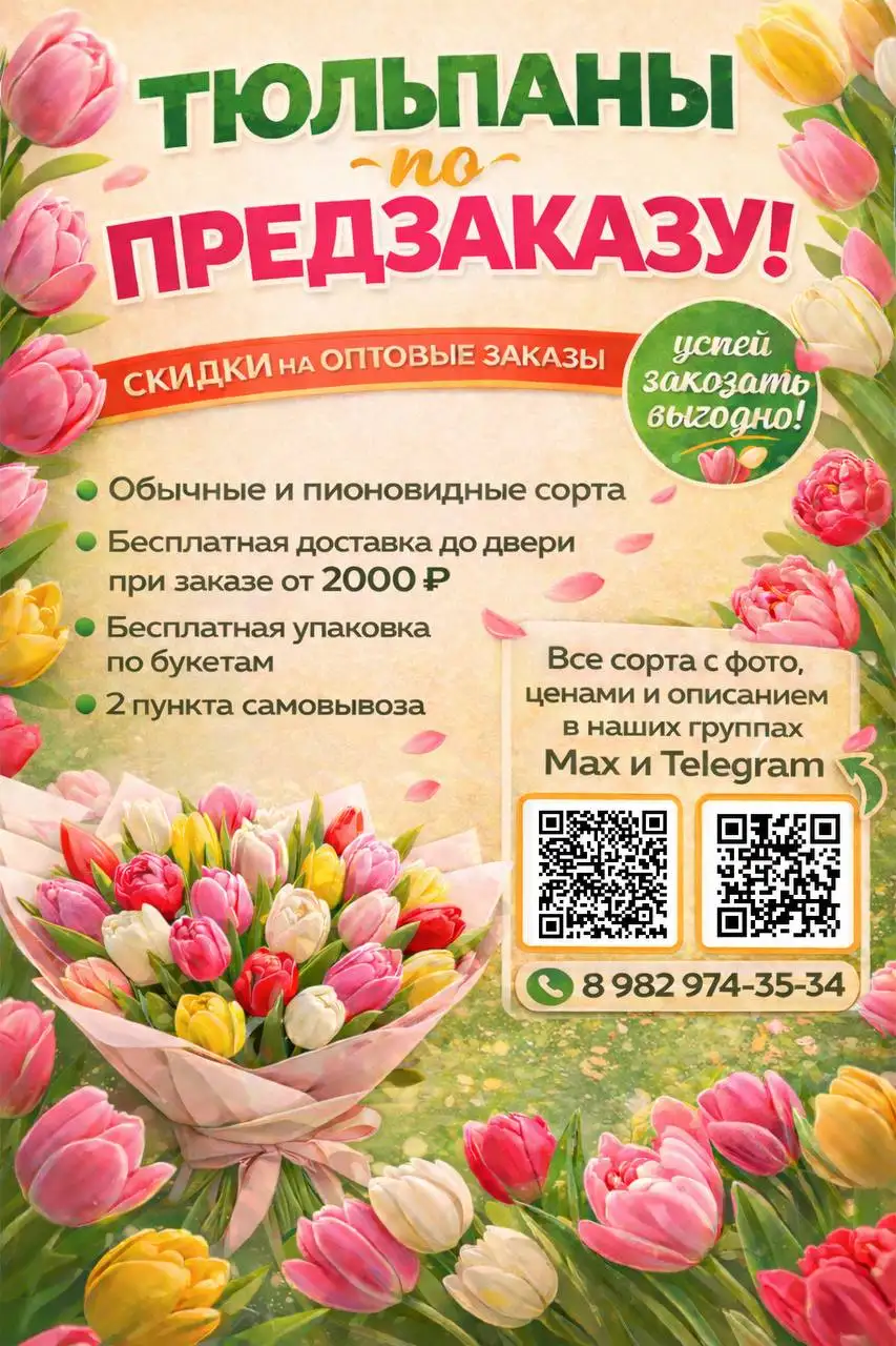 Предзаказ тюльпанов на весну с доставкой - Цветы (Хобби и отдых) в Сургут