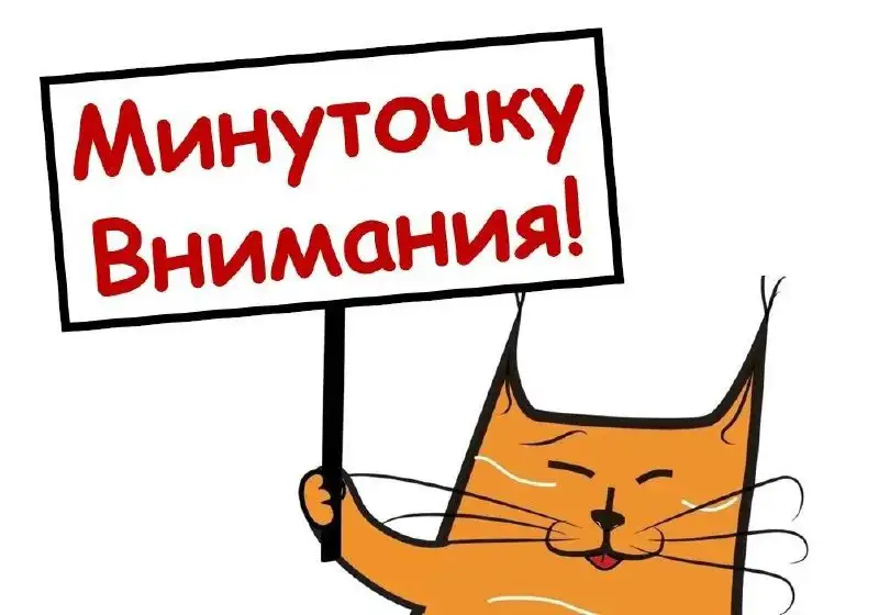 Рекламная рассылка в WhatsApp и Telegram - Реклама (Услуги) в Сургут