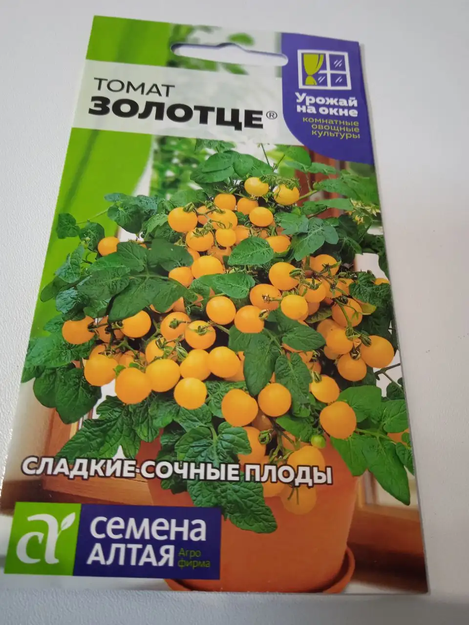 Семена комнатных и балконных растений - Сад и огород (Хобби и отдых) в Нижневартовск