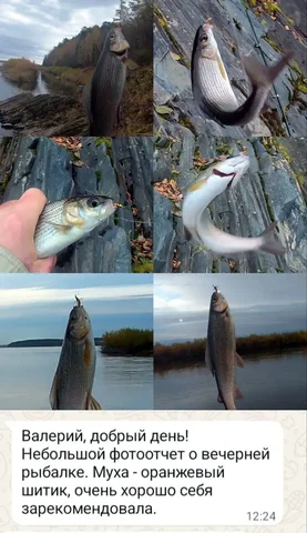 Мушки на хариуса и ленка в наличии и под заказ - Хобби и отдых в Сургут