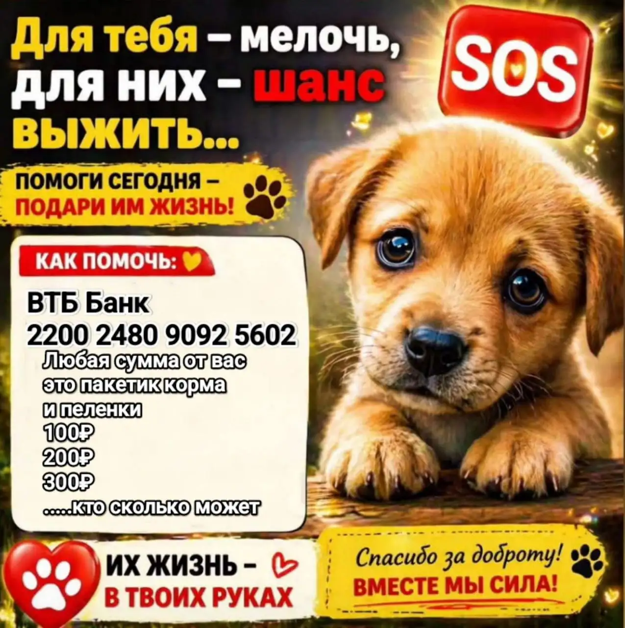 Финансовая помощь - None в Сургут