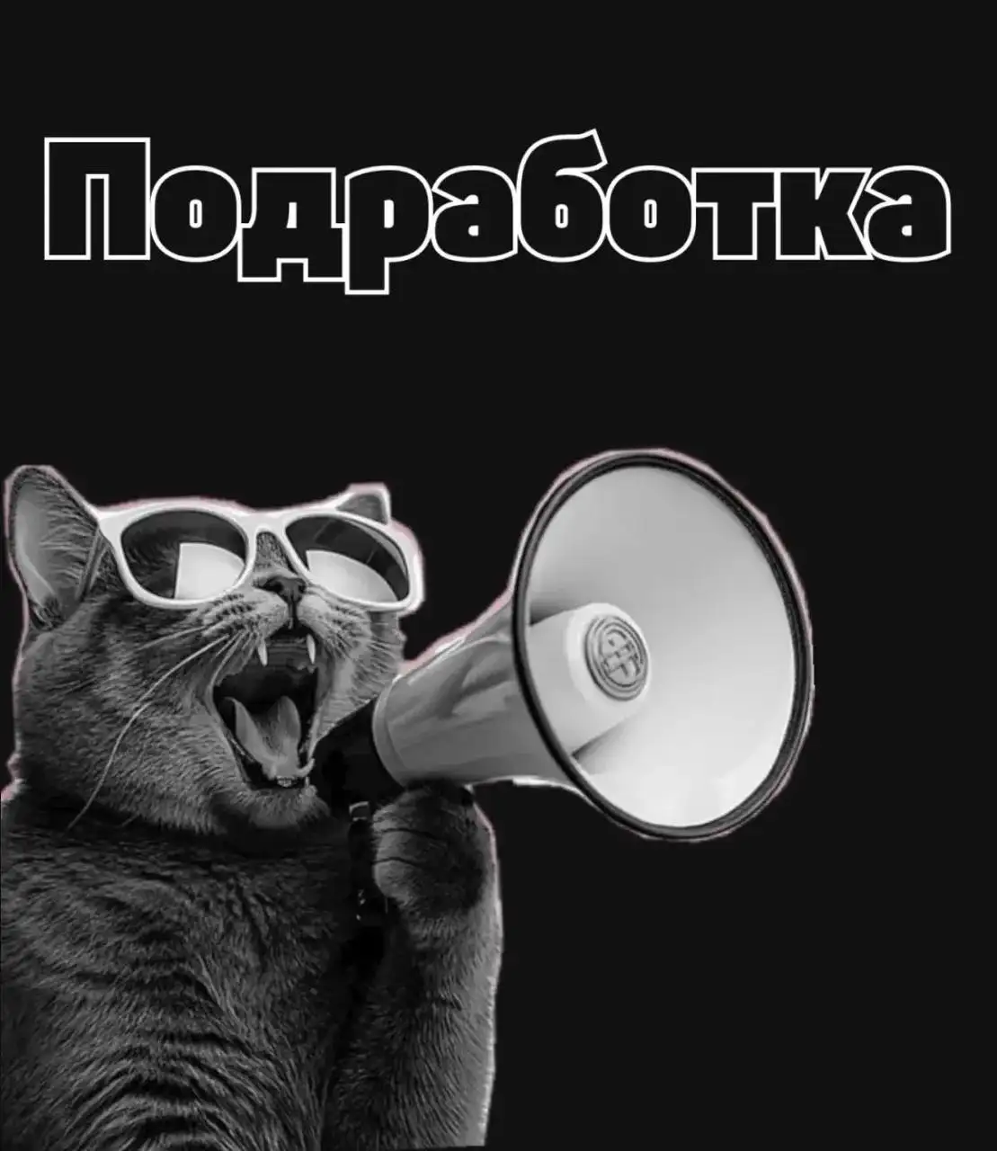 Подработка: выкладка товаров в крупной торговой сети - Подработка (Работа) в Сургут