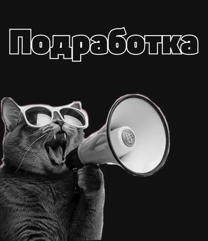 Подработка: выкладка товаров в крупной торговой сети - частное объявление в Сургут
