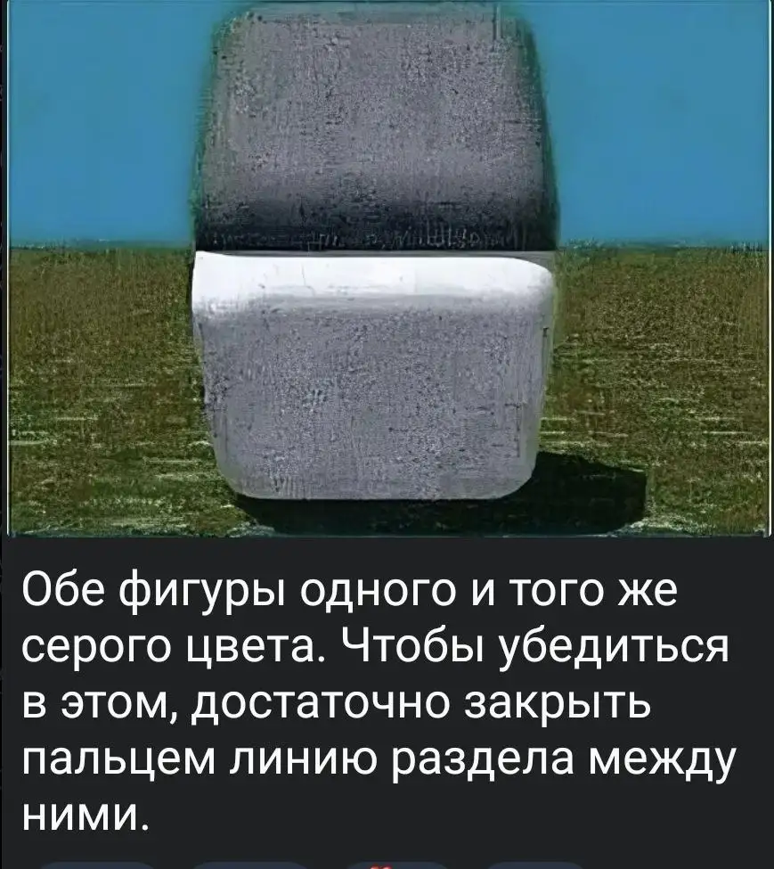 Продам Крокодил - Рептилии (Животные) в Сургут