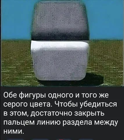 Продам Крокодил - частное объявление в Сургут