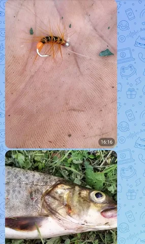 Мушки на хариуса и ленка - частное объявление в Сургут