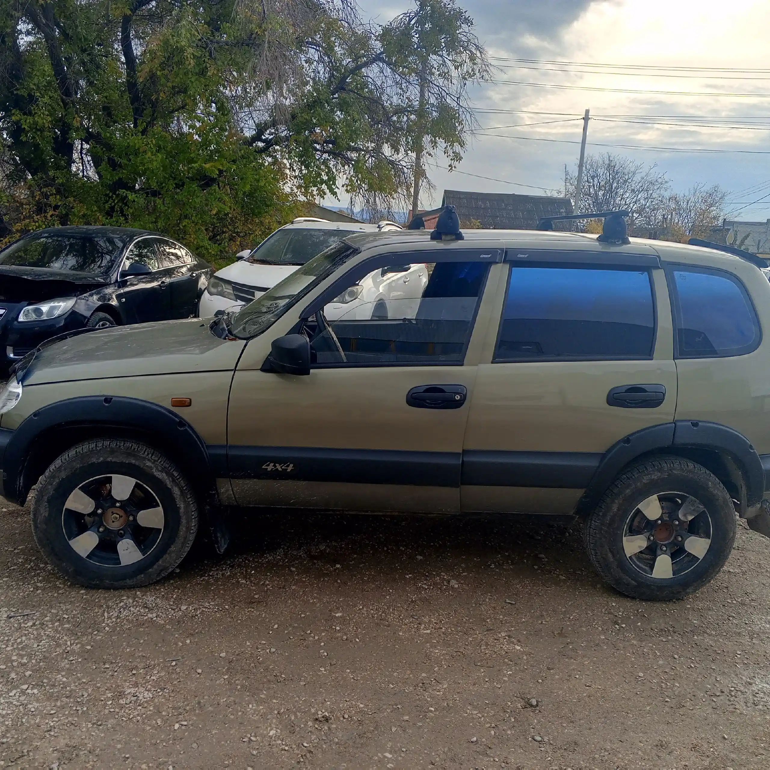 Продам Шевика - частное объявление в Бахчисарай