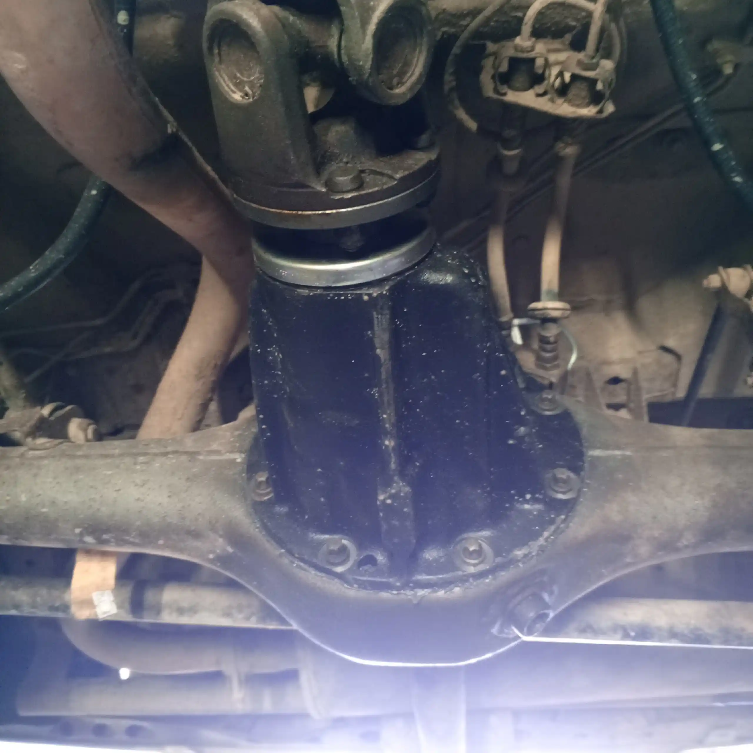 Продам Шевика