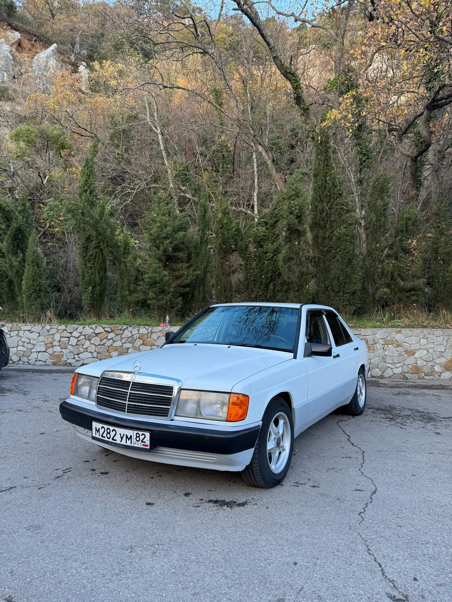 Mercedes-Benz 190 (W201) 1991 года выпуска