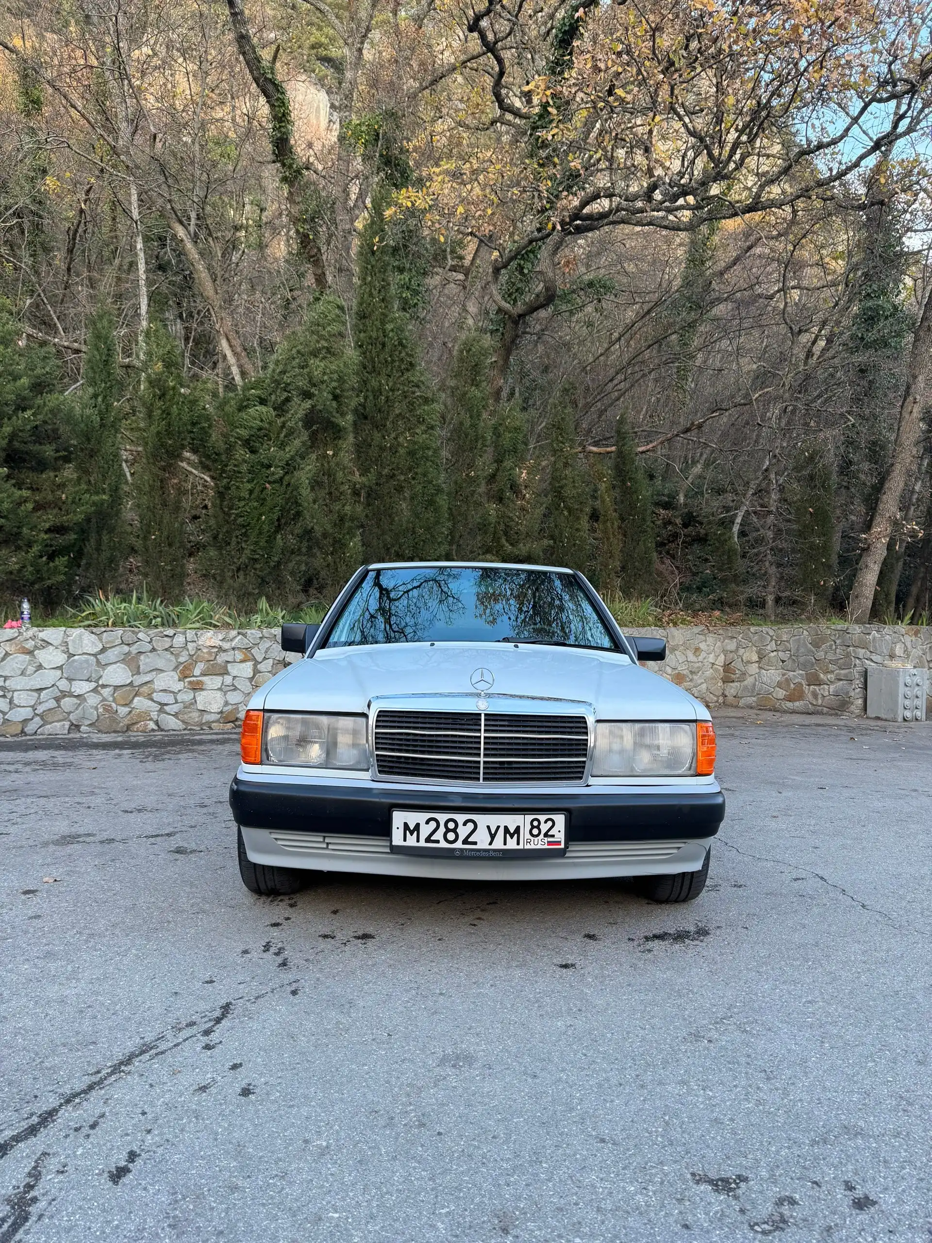 Mercedes-Benz 190 (W201) 1991 года выпуска