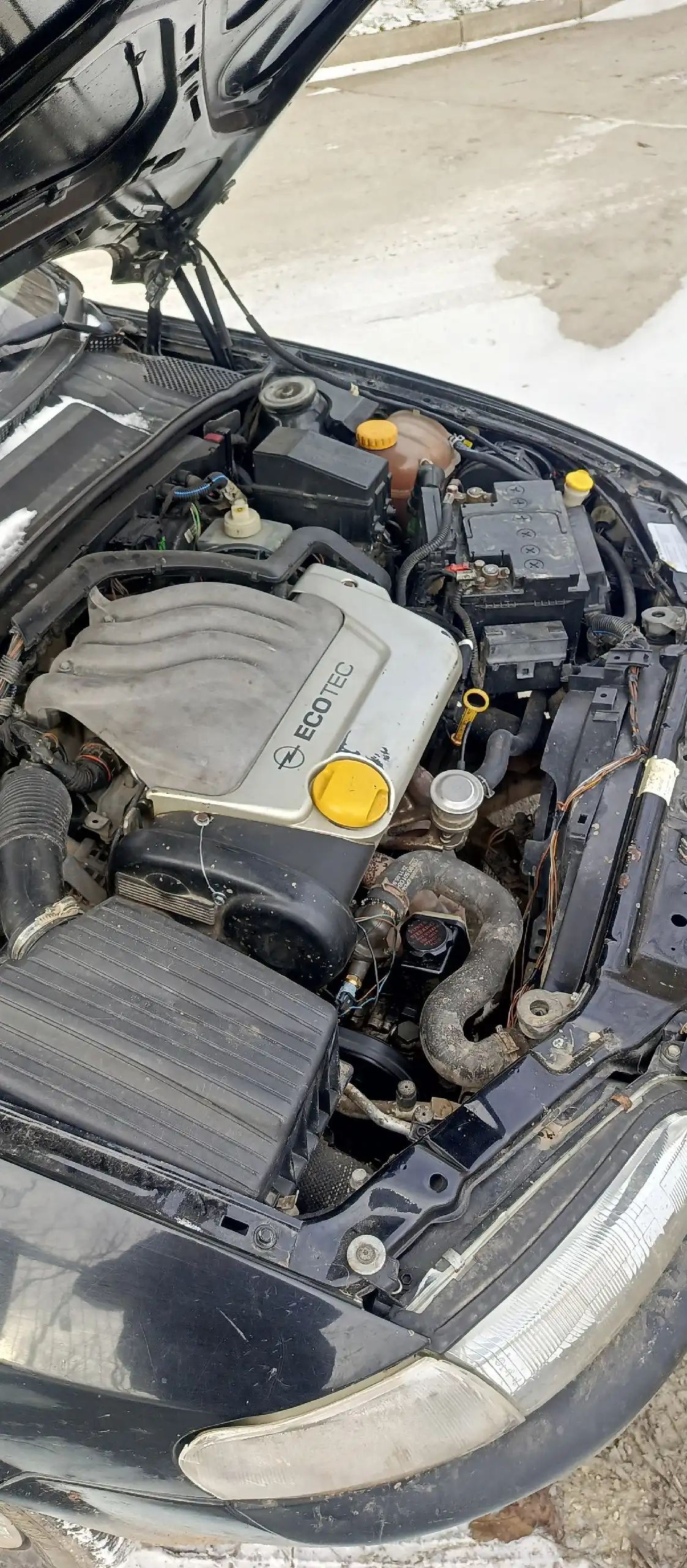 Продам Опель Вектра б 1.6 16кл в Евпатории - Легковые автомобили (Авто) в Евпатория