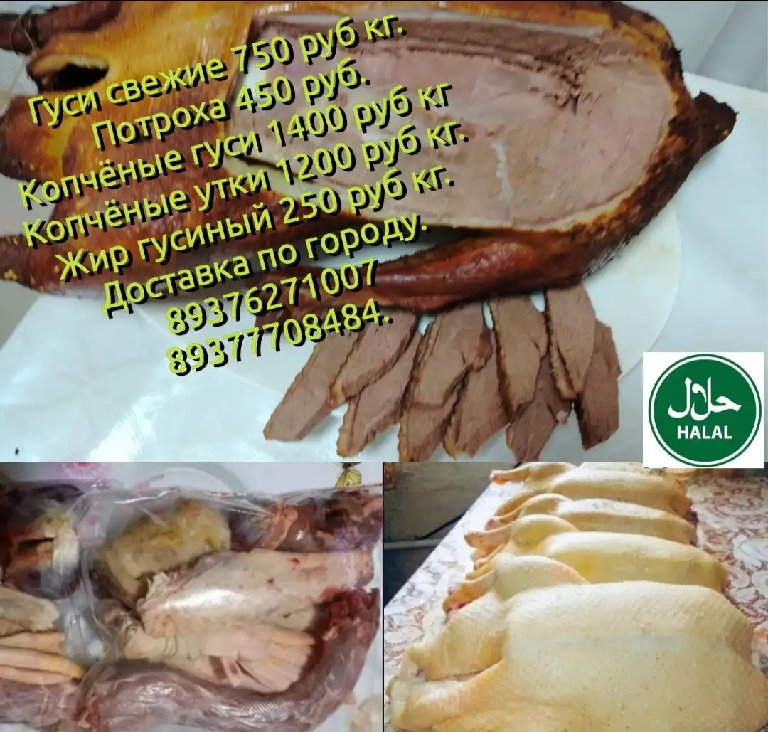 Объявления Новая жизнь Ульяновск - Барахолка в Ульяновск