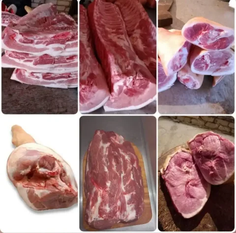 Свежее домашнее мясо свинины с доставкой - Прокат в Ульяновск