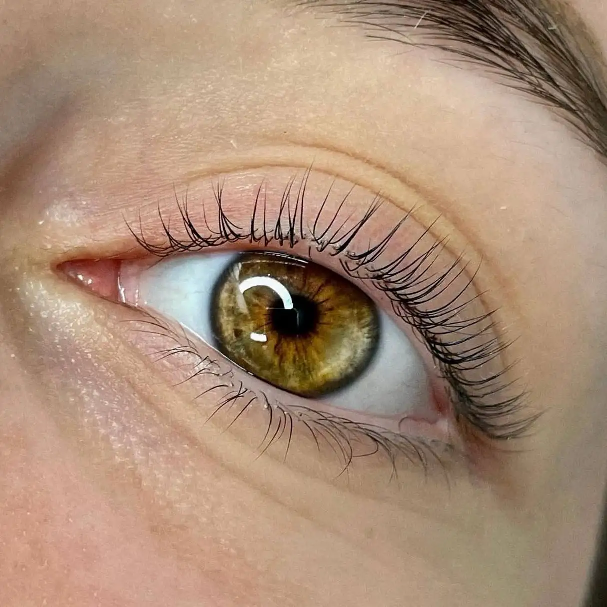 Услуги мастера бровиста и ламимейкера - Красота и здоровье (Услуги) в Ульяновск