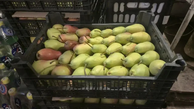 Продажа груши из Кабардии оптом и в розницу - Ювелирные изделия в Ульяновск