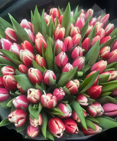 Предзаказ на тюльпаны к 8 марта - Барахолка в Ульяновск