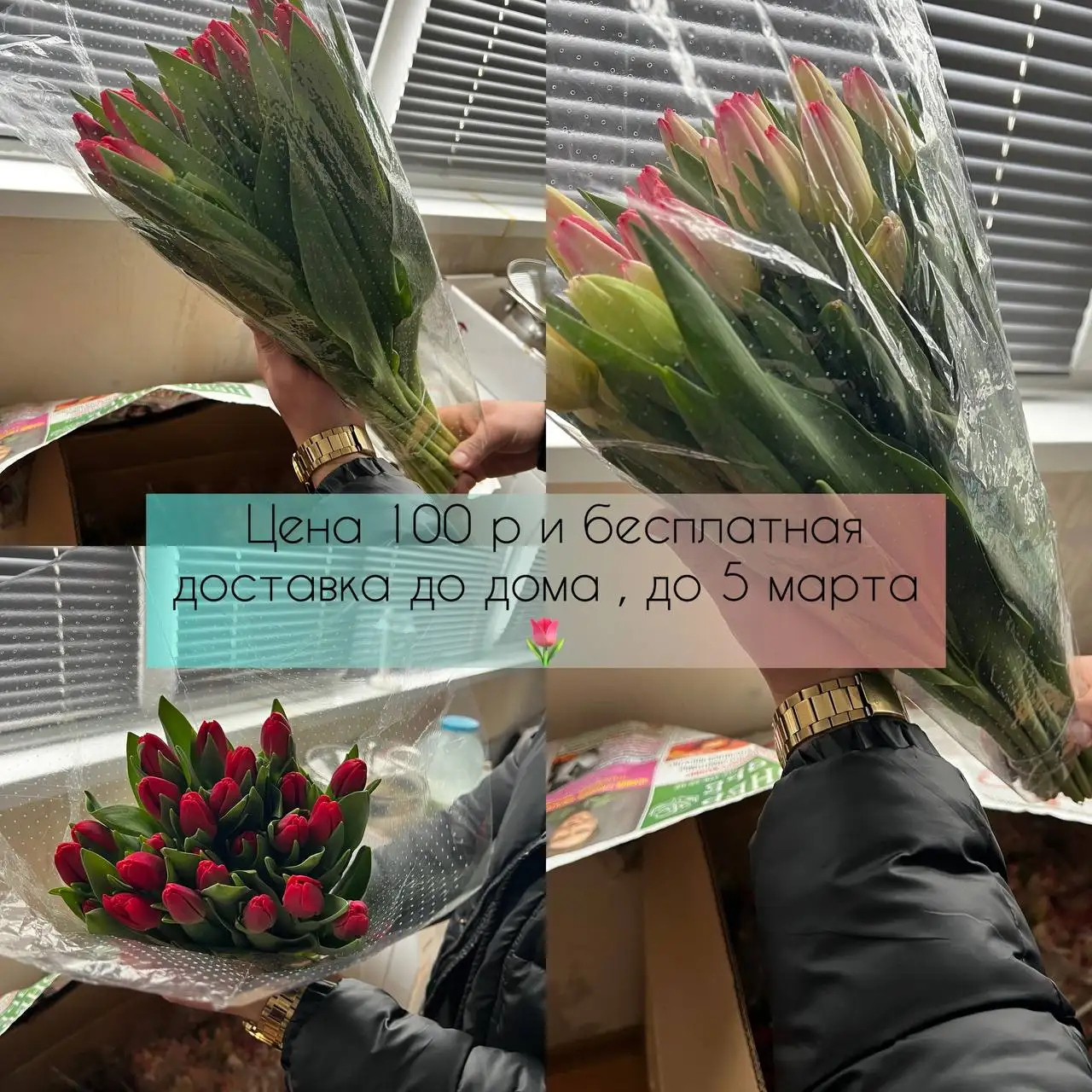 Предзаказ тюльпанов к 8 марта - Хобби и отдых в Ульяновск