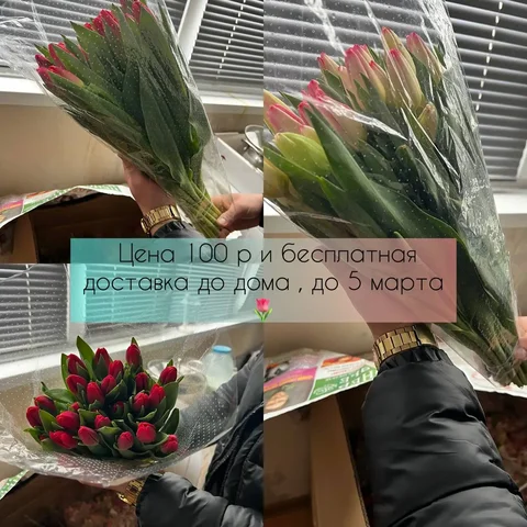 Предзаказ тюльпанов к 8 марта - Подарки и сувениры в Ульяновск