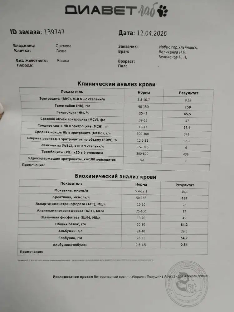 Нужны таблетки Канефрон для кота - Лекарства для животных (Животные) в Ульяновск