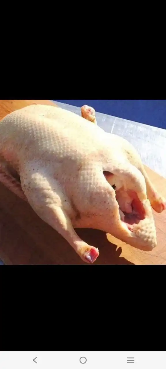 Продажа тушек гусей и услуги копчения