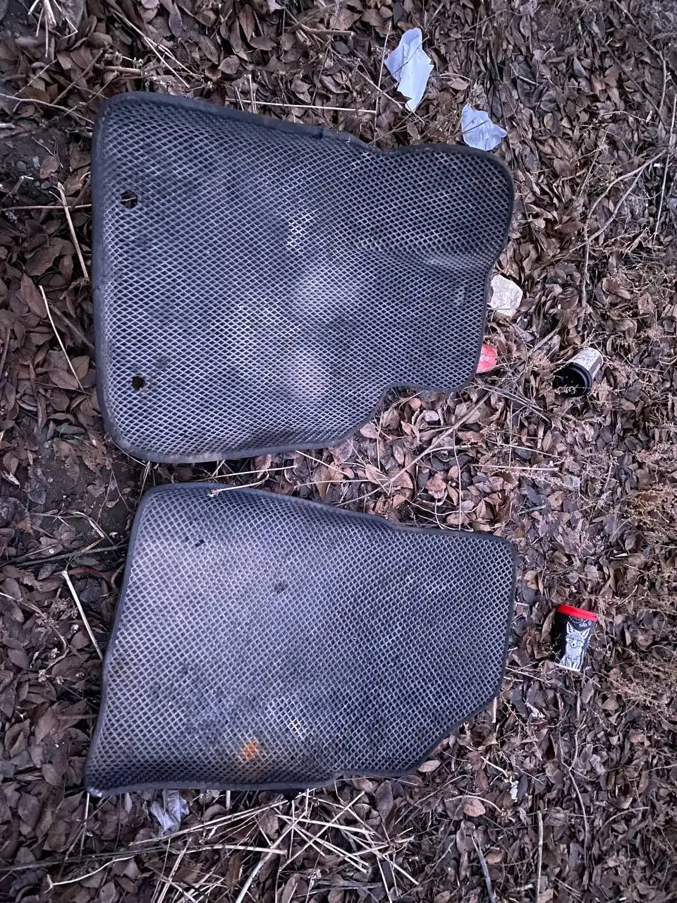 Коврики на Лада Ларгус