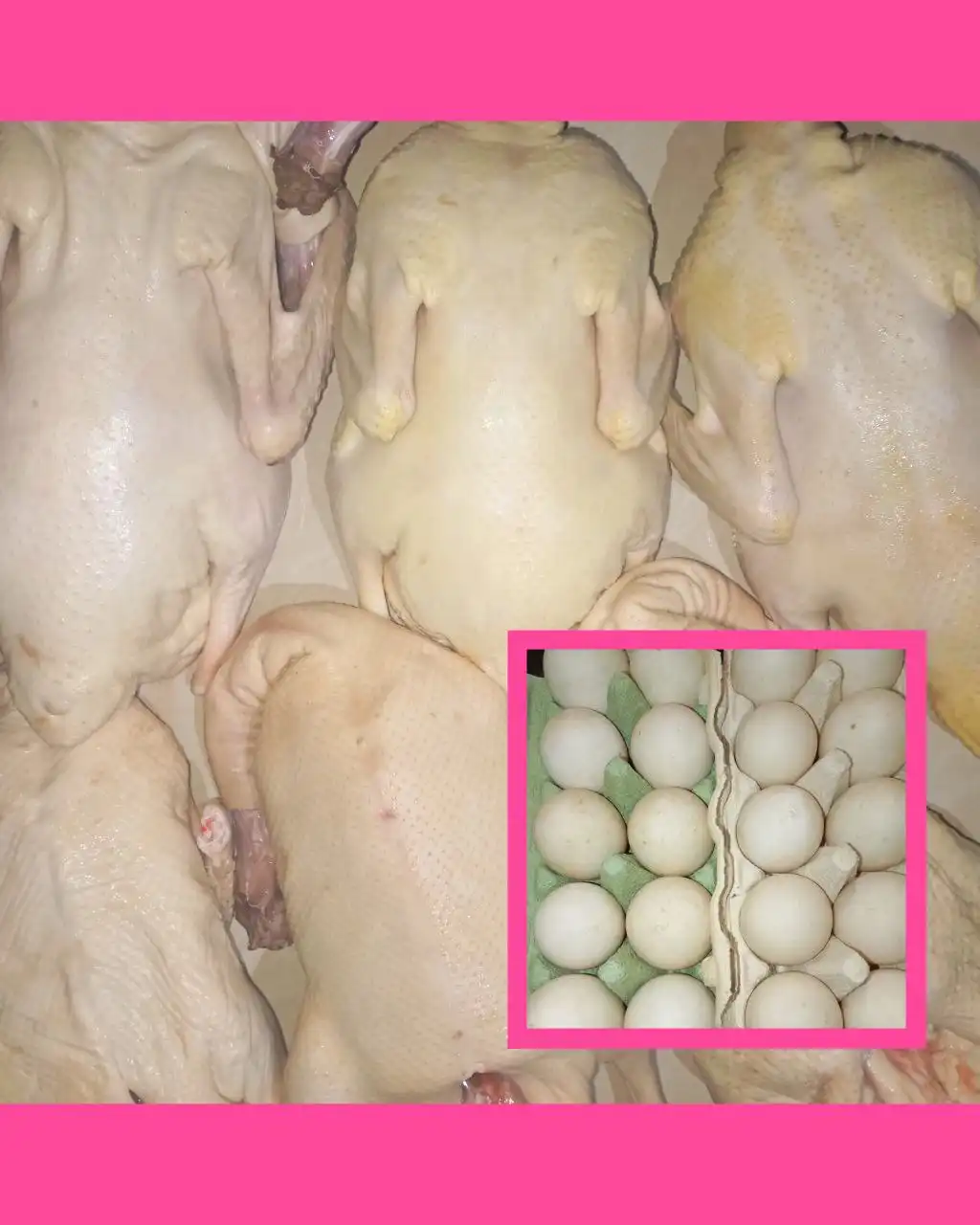 Продажа утиных тушек и продуктов