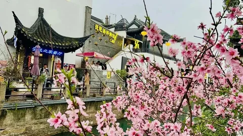 Китайский язык: индивидуальные и групповые занятия - Образовательные услуги в Оренбург