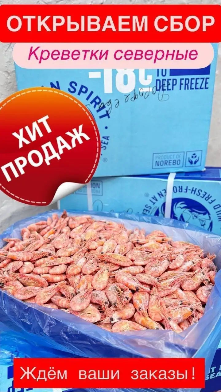 SEVERNAYA KREVETKA - Морепродукты (Еда) в Оренбург