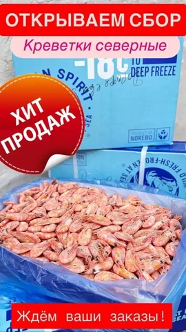 SEVERNAYA KREVETKA - Еда в Оренбург
