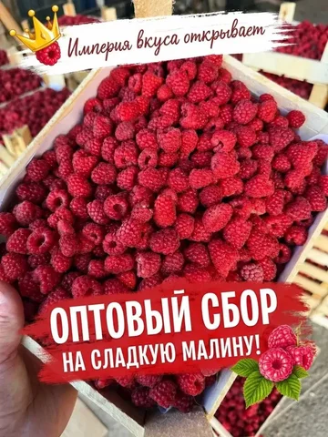 Сезон малины из Киргизии в Оренбурге - Товары для бассейнов в Оренбург