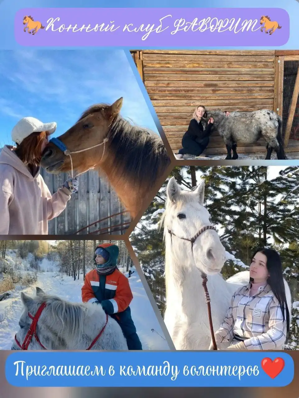 Волонтеры в конный клуб ФАВОРИТ