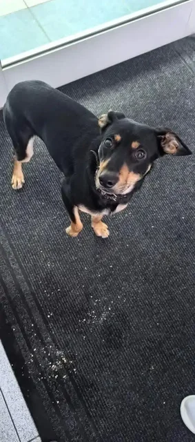 Барахолка в Братске - Продукты питания в Братск