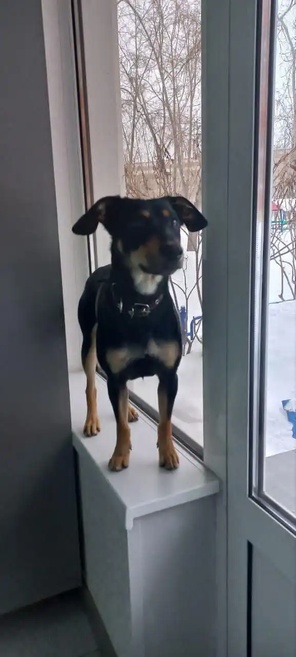 Барахолка в Братске