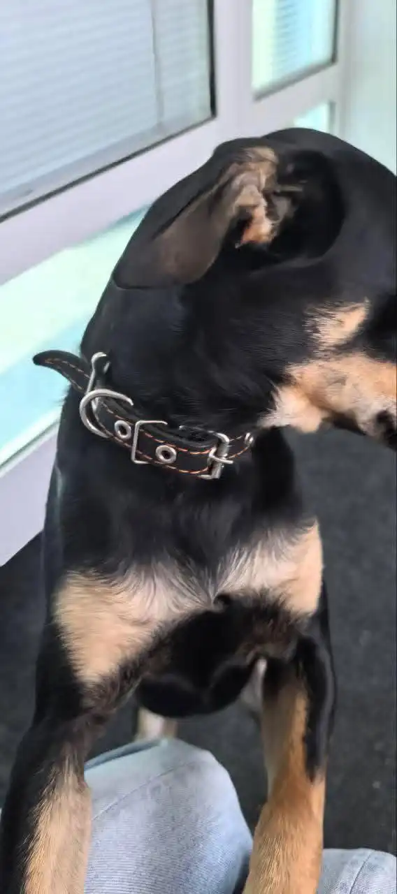 Барахолка в Братске