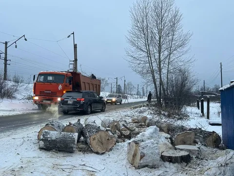 Услуги по уходу за деревьями и участками - частное объявление в Братск
