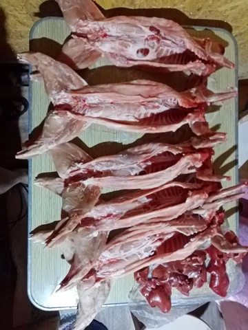 Продам мясо кролика - Разное в Братск