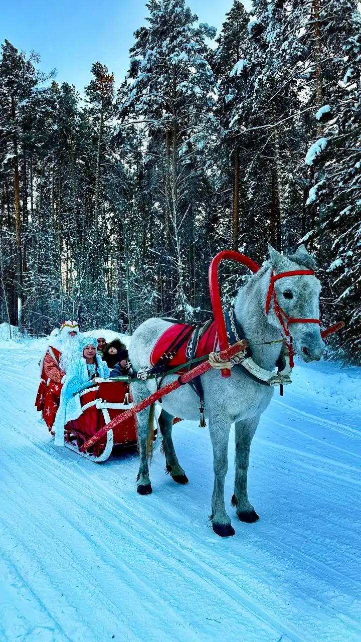 Новогодняя прогулка в санях с конным клубом ФАВОРИТ