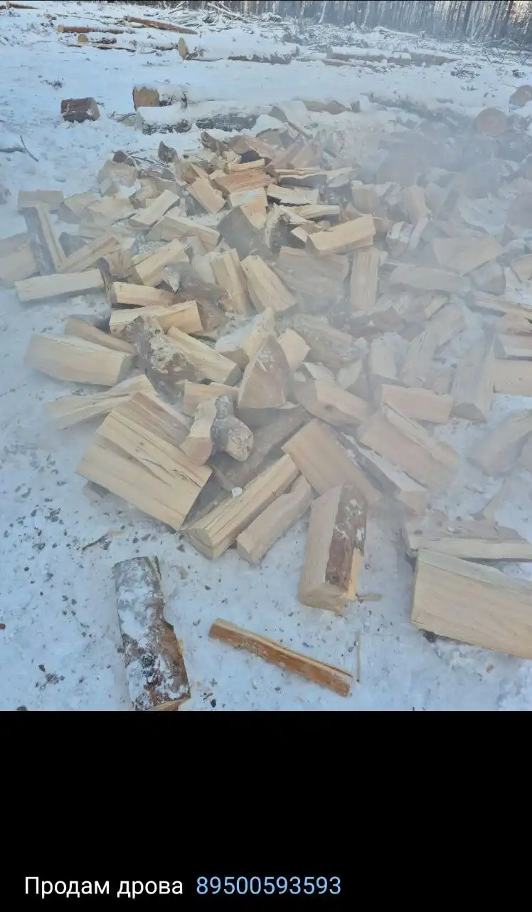 Продам дрова с доставкой - Барахолка в Братск