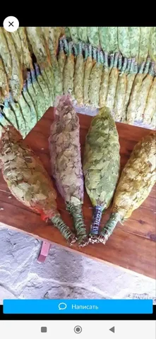 Продам берёзовые веники для бани - Ручная работа в Братск