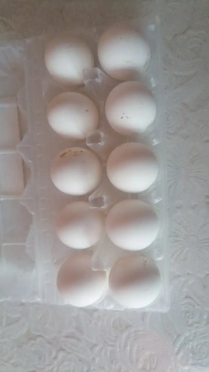 Продажа яиц от домашних кур - Продукты питания (Барахолка) в Братск