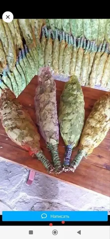 Продажа берёзовых веников для бани - Детские товары в Братск