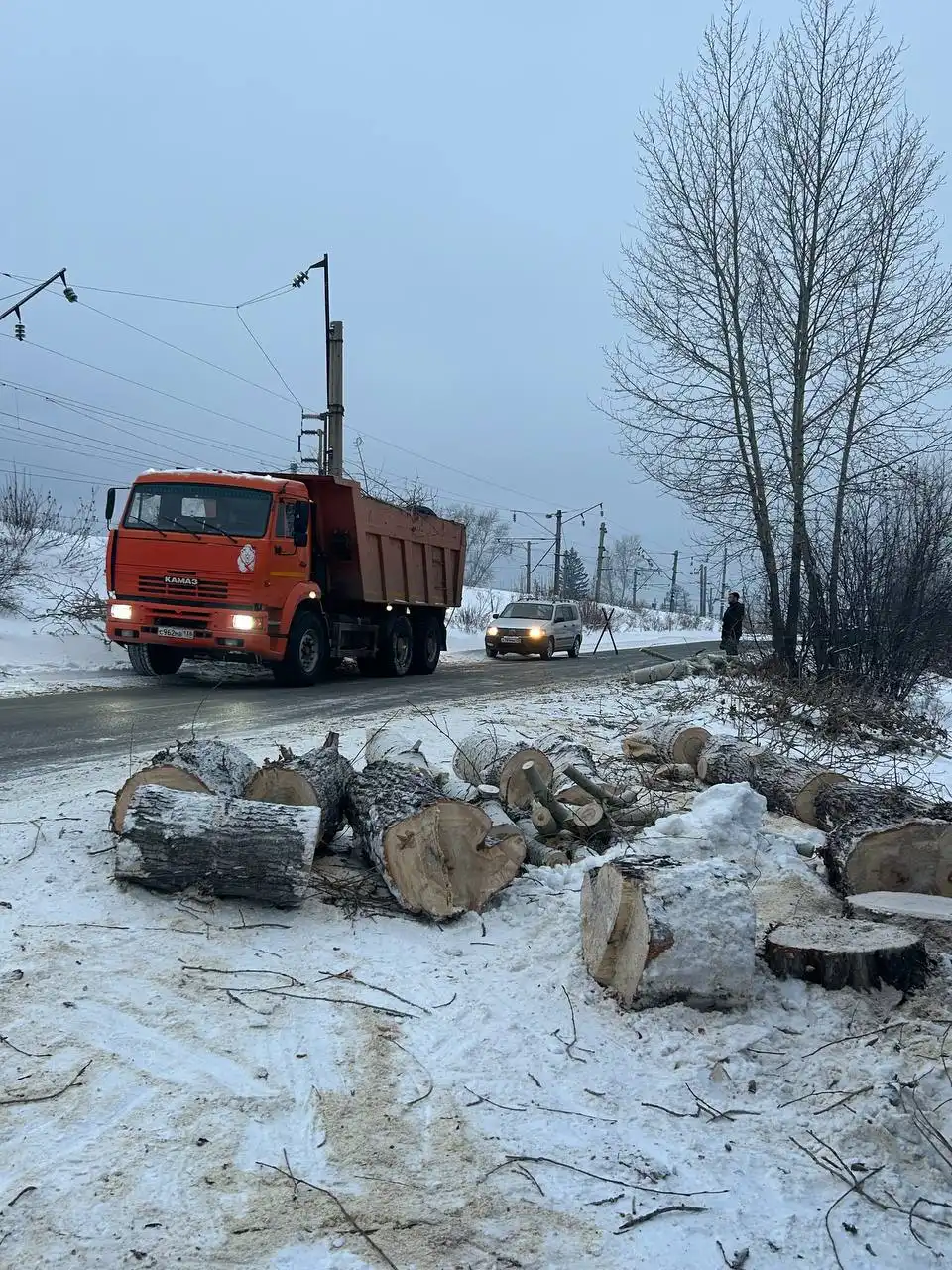 Услуги по валке, спилу, кронированию и мульчированию деревьев в Братске - Ландшафтные работы (Услуги) в Братск