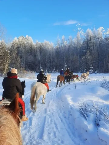 Конные прогулки и катание на санях в Братске - Ручная работа в Братск
