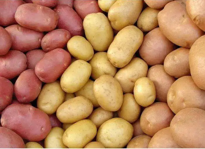 Продажа семенного картофеля супер-элита - Барахолка в Красноярск