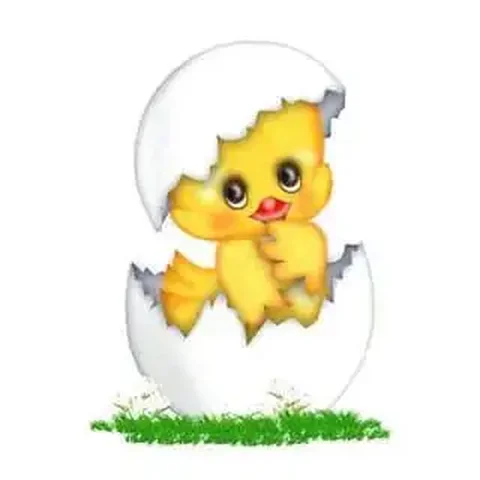 Инкубационное яйцо бройлера Росс 308 - Пиломатериалы в Братск